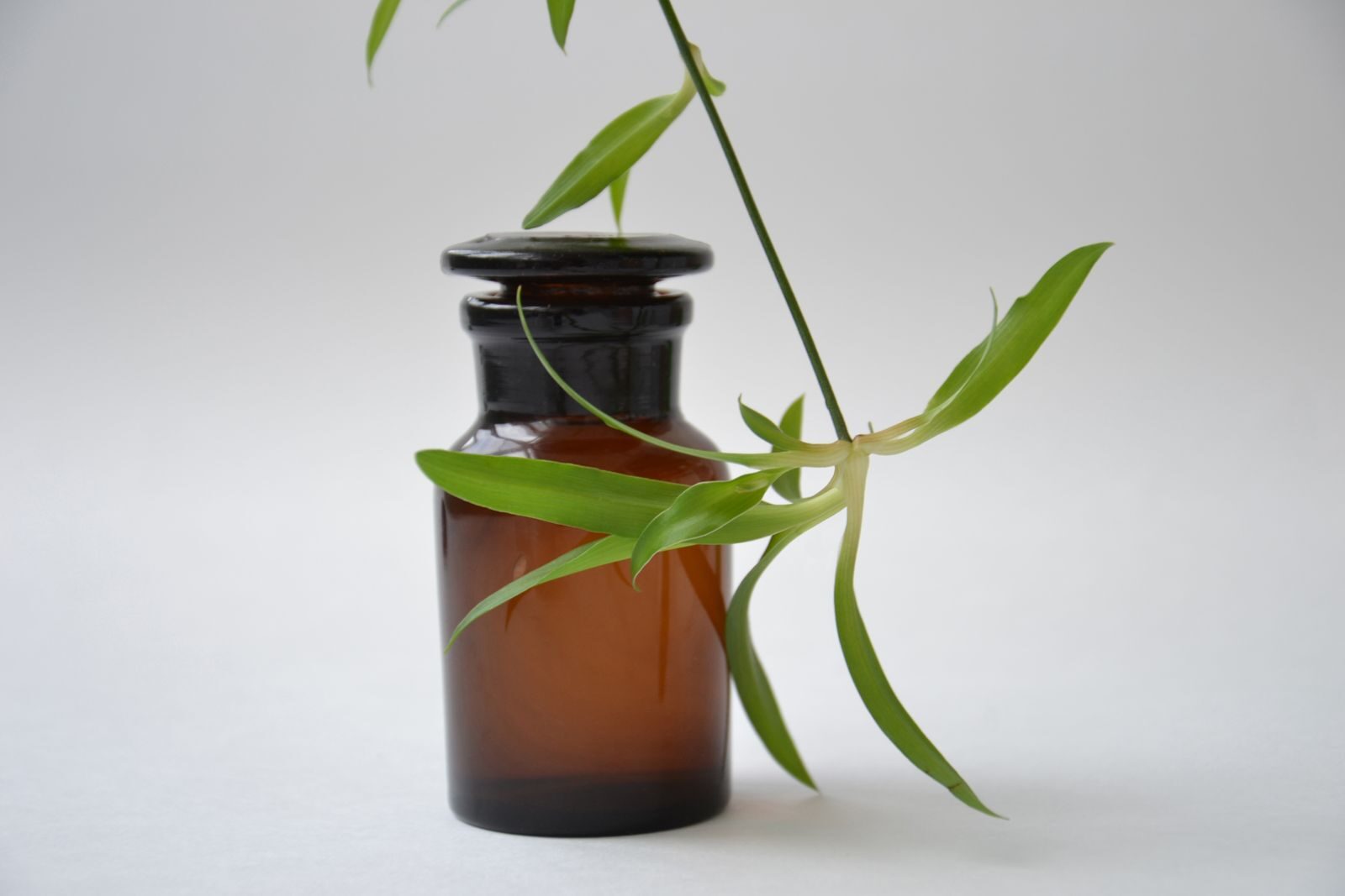Amber glass apothecary bottle with green plant sprig on a white background representing natural essential oil