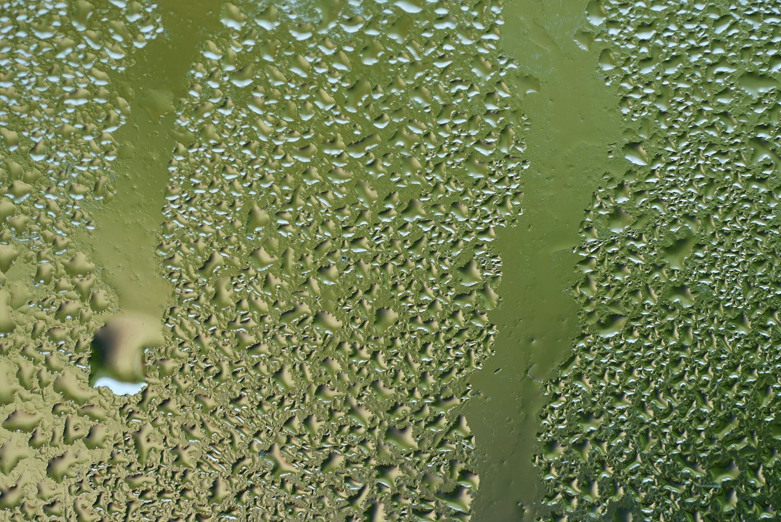 Heavy condensation water droplets on a window showing moisture buildup that creates conditions for household mould growth