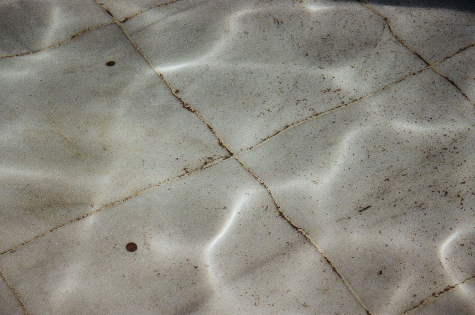 Dark mildew speckling along the grout lines of a tiled surface, the flat surface