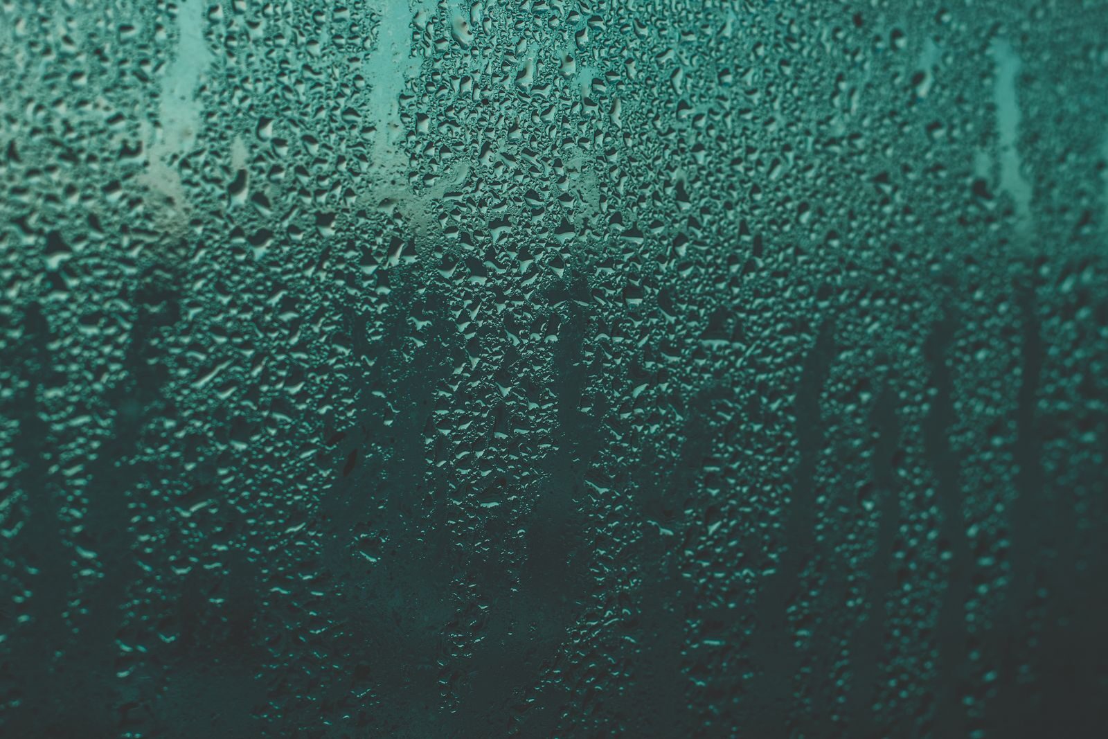 Heavy condensation running down a fogged window, a common cause of the damp that feeds recurring mould