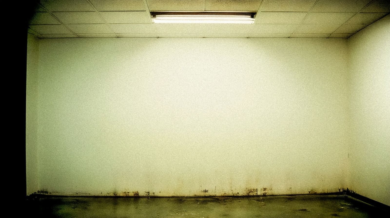 Damp and mould spreading along the base of the walls in a room