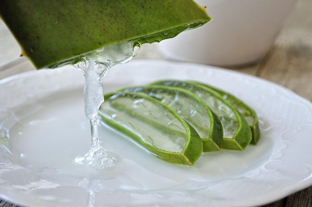 Fresh aloe vera leaves cut open showing clear inner leaf gel dripping onto a white plate