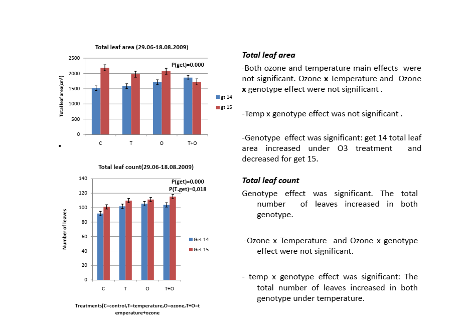 Bar chart showing leaf area response of two birch genotypes to warming treatment