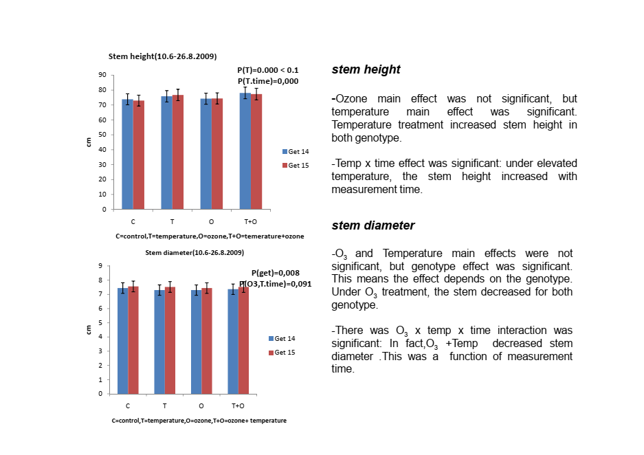 Bar chart showing stem growth response of two birch genotypes to warming and ozone treatment