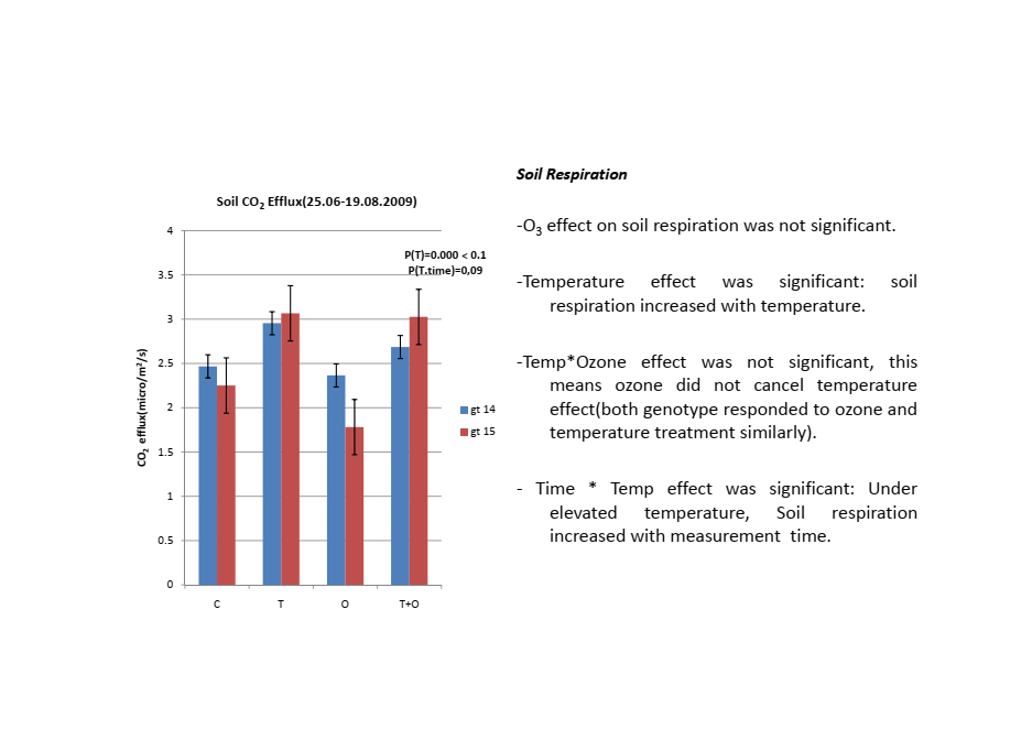 Soil CO₂ efflux results across four treatment combinations for two silver birch genotypes from open-air field research