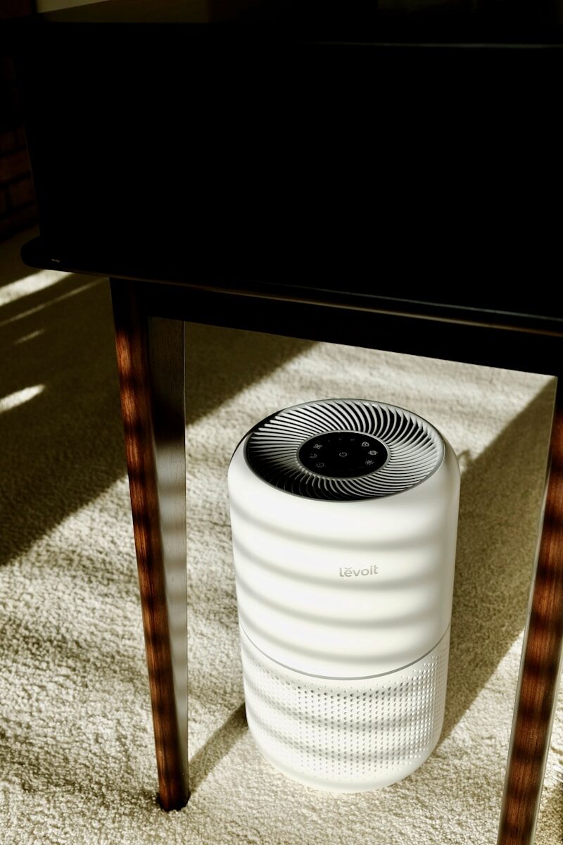 Portable air purifier in a living room