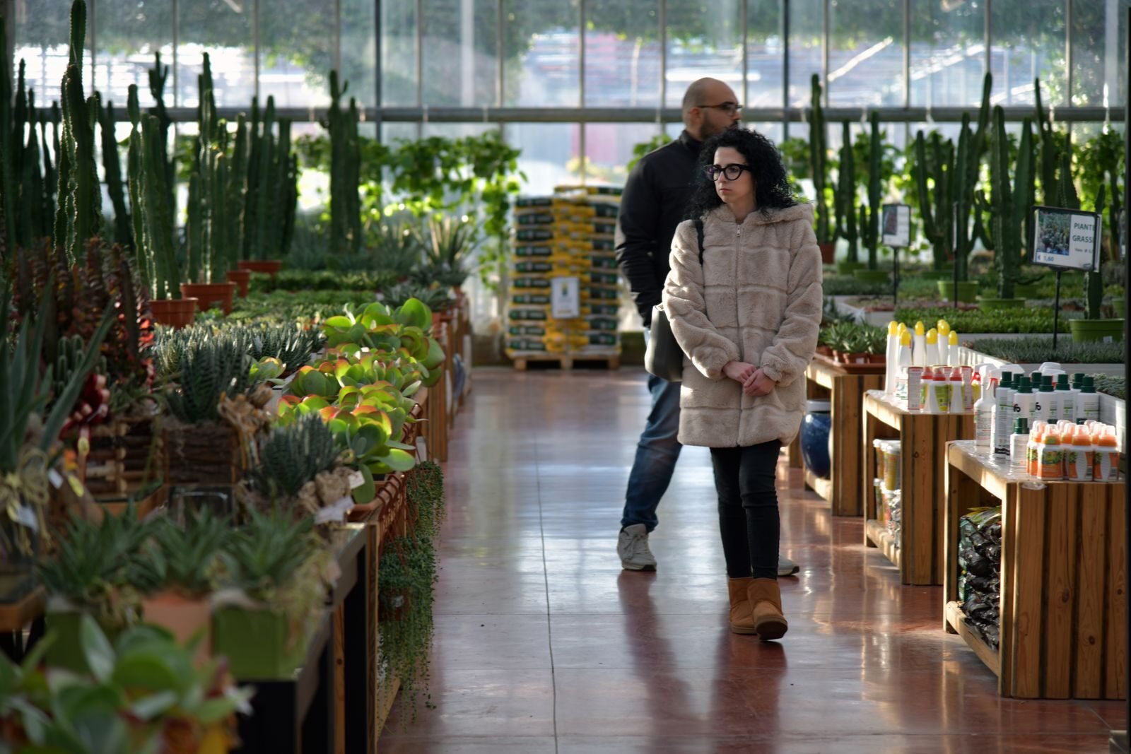 People browsing native plants at a nursery