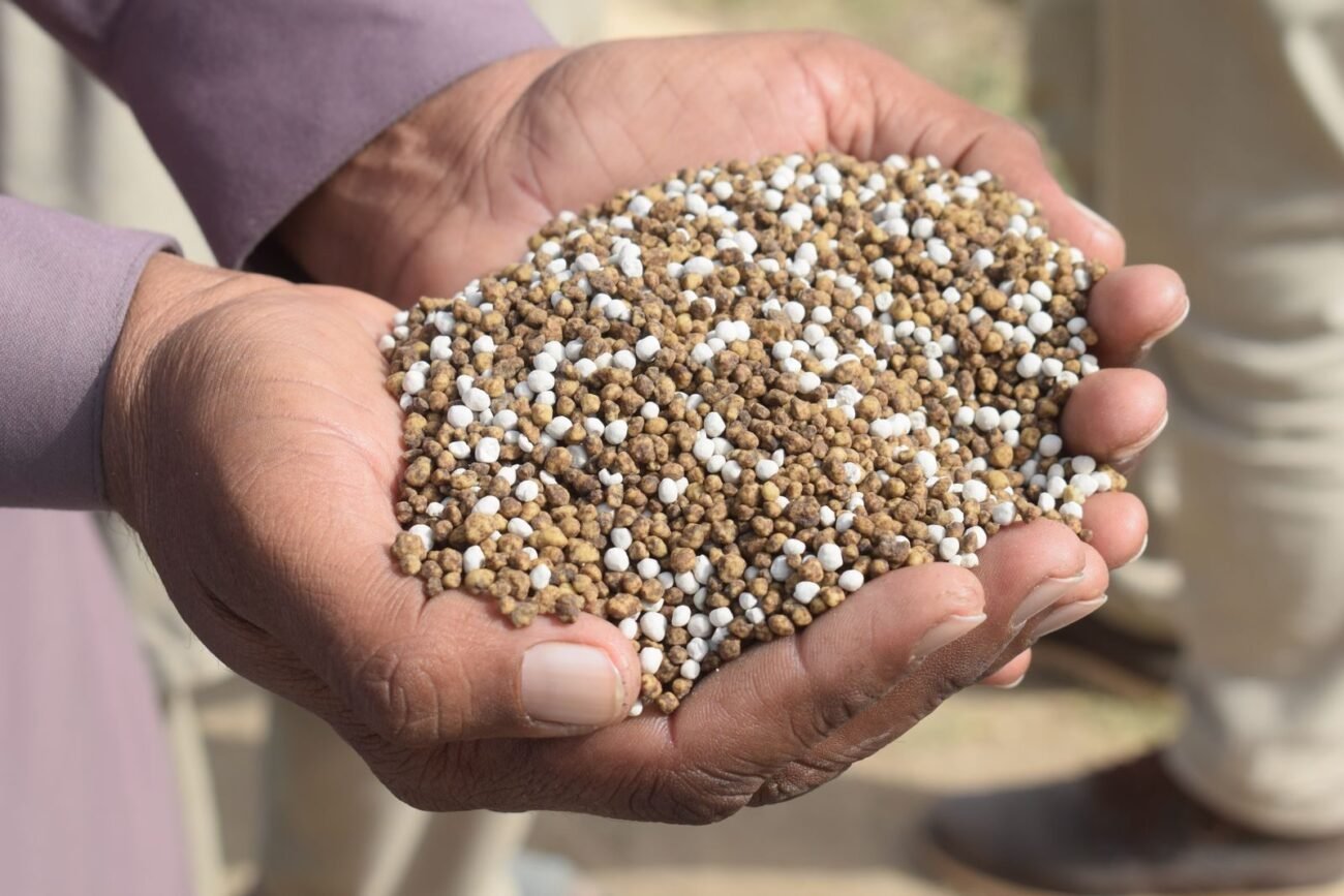 Hand adding fertiliser to garden soil, a common cause of lost mycorrhizal partnerships