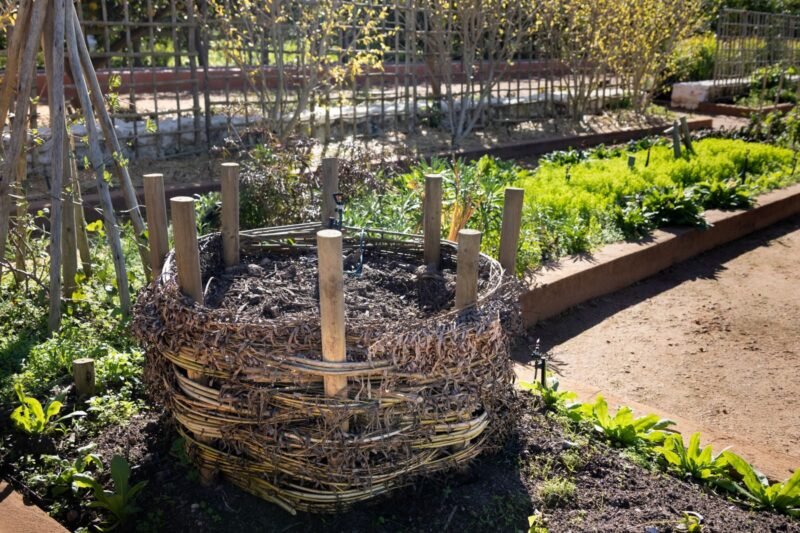 Why Does My Compost Smell? What the Smell Is Telling You