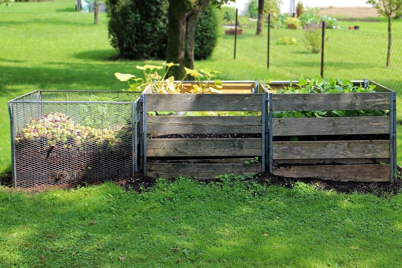 A multi-bay wooden compost bin system in a garden, the kind you turn to aerate