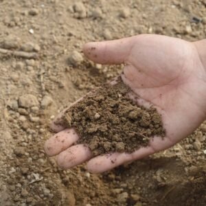 Hand holding dark crumbly organic feed over garden soil
