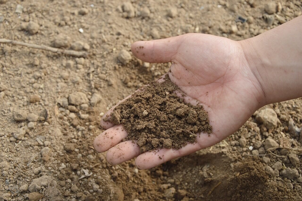 Hand holding dark crumbly organic feed over garden soil