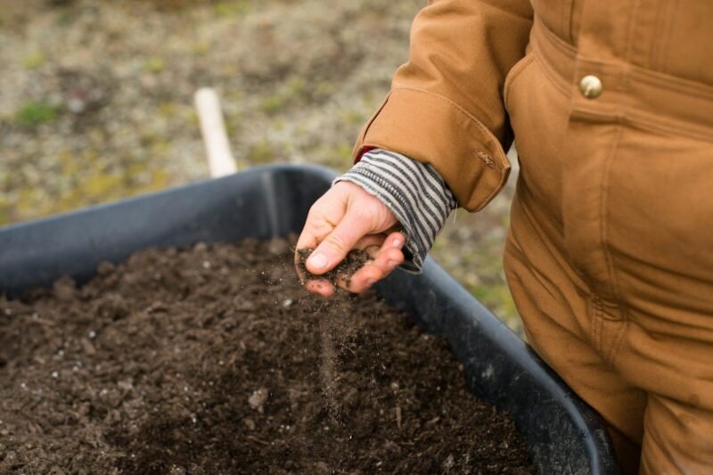 Why “Amend the Soil” and “Never Amend for Natives” Are Both Right