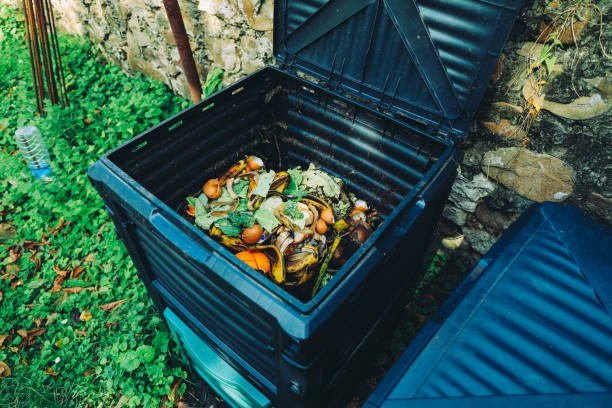 The Compost Green & Brown Balance Guide