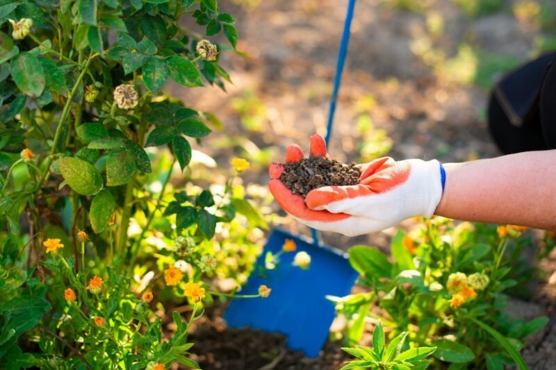 Organic Phosphorus and Potassium: Why So Much of What You Add Never Reaches Your Plants