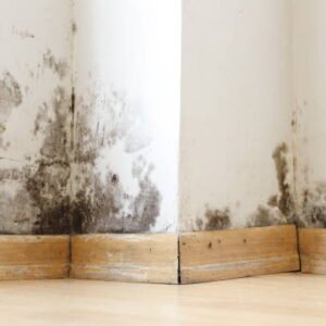 Stop the Damp, Stop the Mould, A Prevention Guide